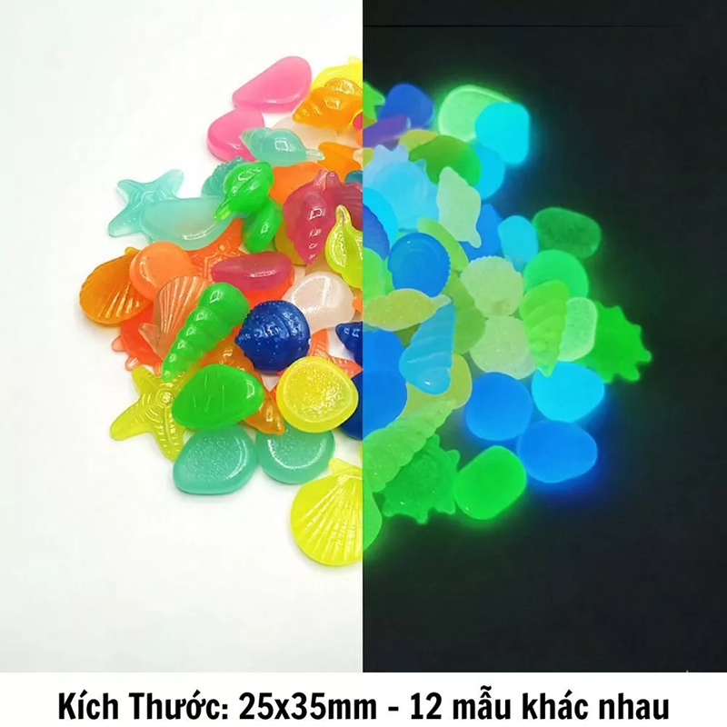 20 sò ốc phát sáng